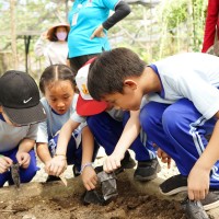 Kegiatan Outdoor Study Kelas 4 ke Agrowisata Tenayan Raya | SD METTA MAITREYA